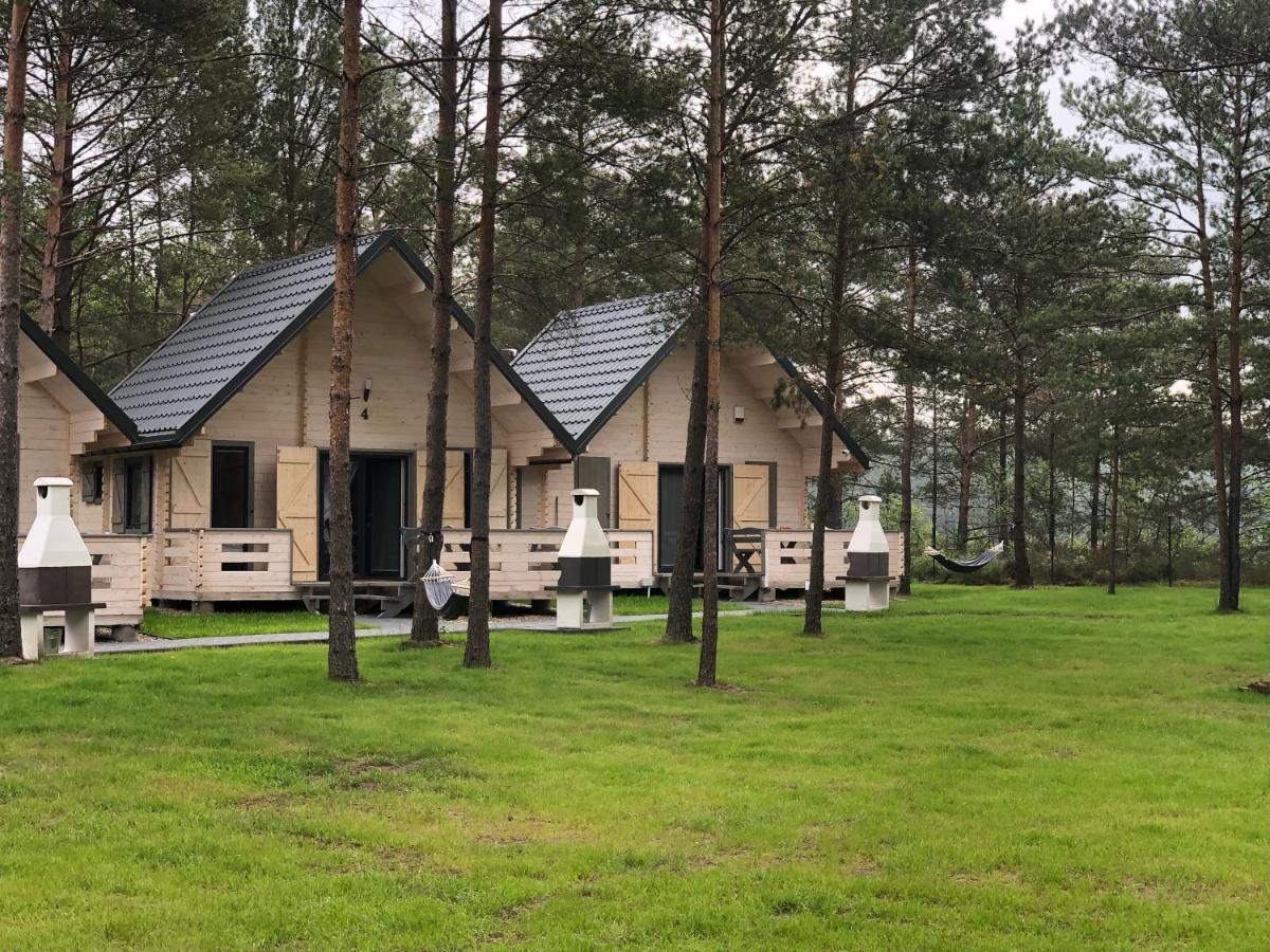 Vila Skrawek Nieba Borsk Exteriér fotografie