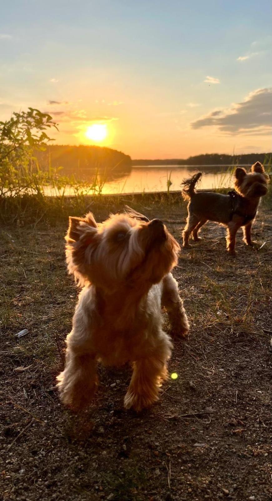 Vila Skrawek Nieba Borsk Exteriér fotografie
