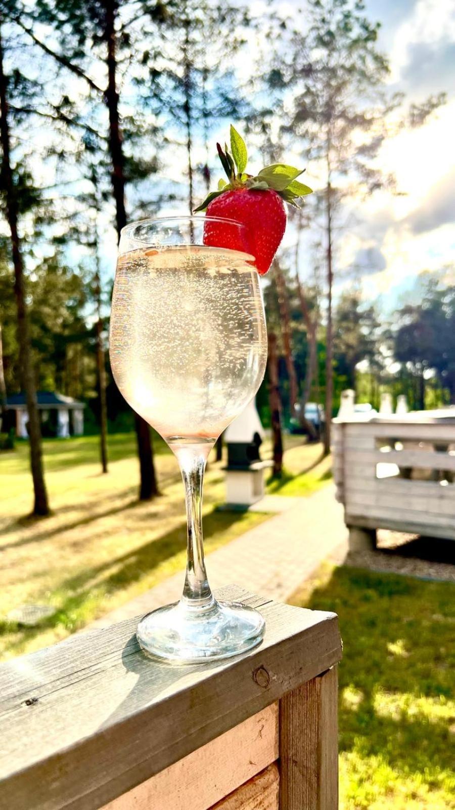 Vila Skrawek Nieba Borsk Exteriér fotografie