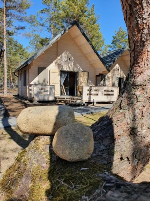 Vila Skrawek Nieba Borsk Exteriér fotografie