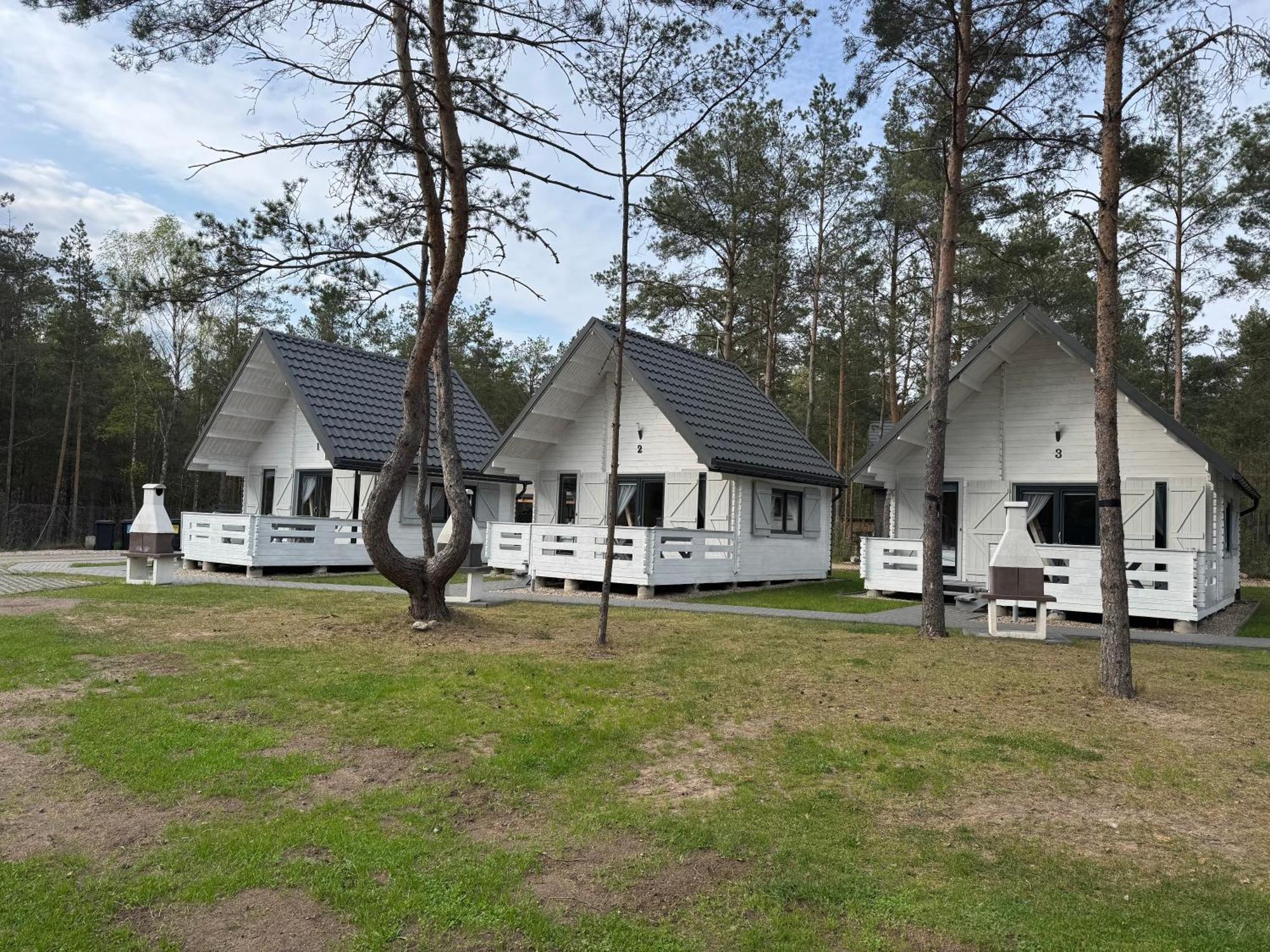Vila Skrawek Nieba Borsk Exteriér fotografie